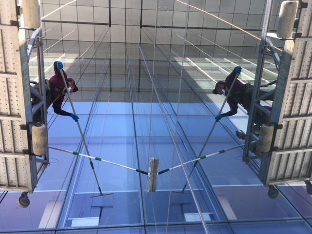 Window Cleaning Services