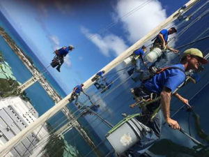 Window Cleaning Professional